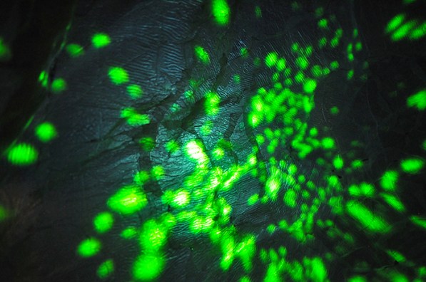 Karlijn Sibbel - Masterclass waves - Aurora - 2014