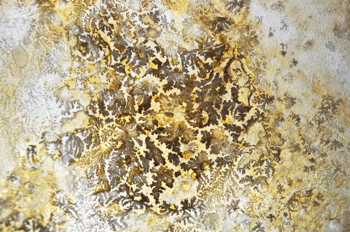 cellulose, Karlijn Sibbel, Genspace, Bacterial cellulose, kombucha, biodesign, material research