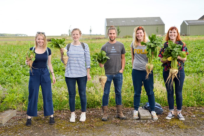 made in grunn, karlijn sibbel, sugar, sugar beets, suikerbieten, suikerbietenpulp, sugarbeetpulp, material research, local production, local, Groningen,
