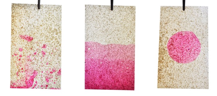 red beet, colouring, colour, sugar beet, karlijn sibbel, made in grunn, groningen, sugar, sugar production, cellulose, c6h10O5