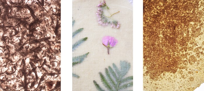 material research, beet cellulose, cellulose, karlijn sibbel, dried plants, material value, by product, translucent, design, innovation, sugar