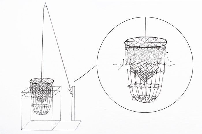 illustration, Karlijn Sibbel, salt, growth process