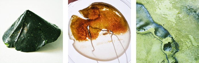 karlijn sibbel, agar, algae culture, material research, freeze dried algae, pattern, biomaterial