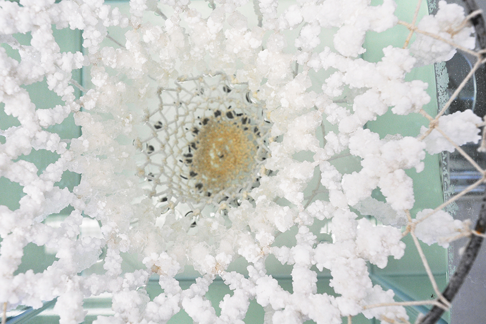 textile hardener, karlijn sibbel, salt, crystal, growth, nacl, cotton wire, Gaudi, flexible shape, design, material research