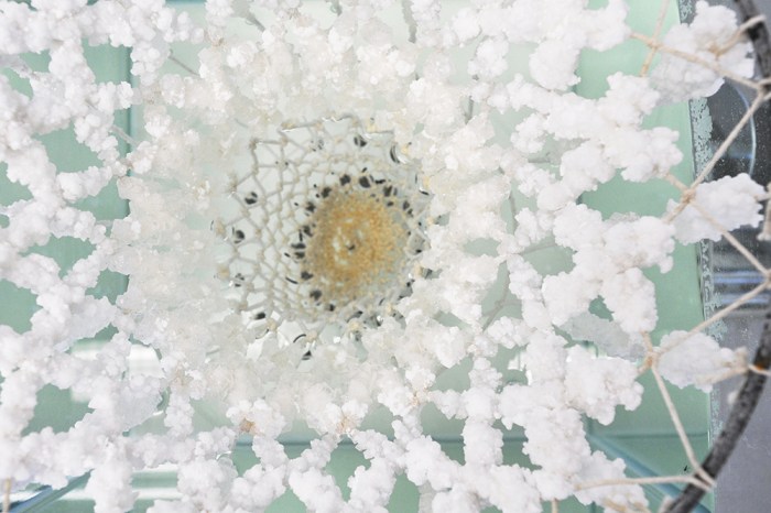 textile hardener, karlijn sibbel, salt, crystal, growth, nacl, cotton wire, Gaudi, flexible shape, design, material research